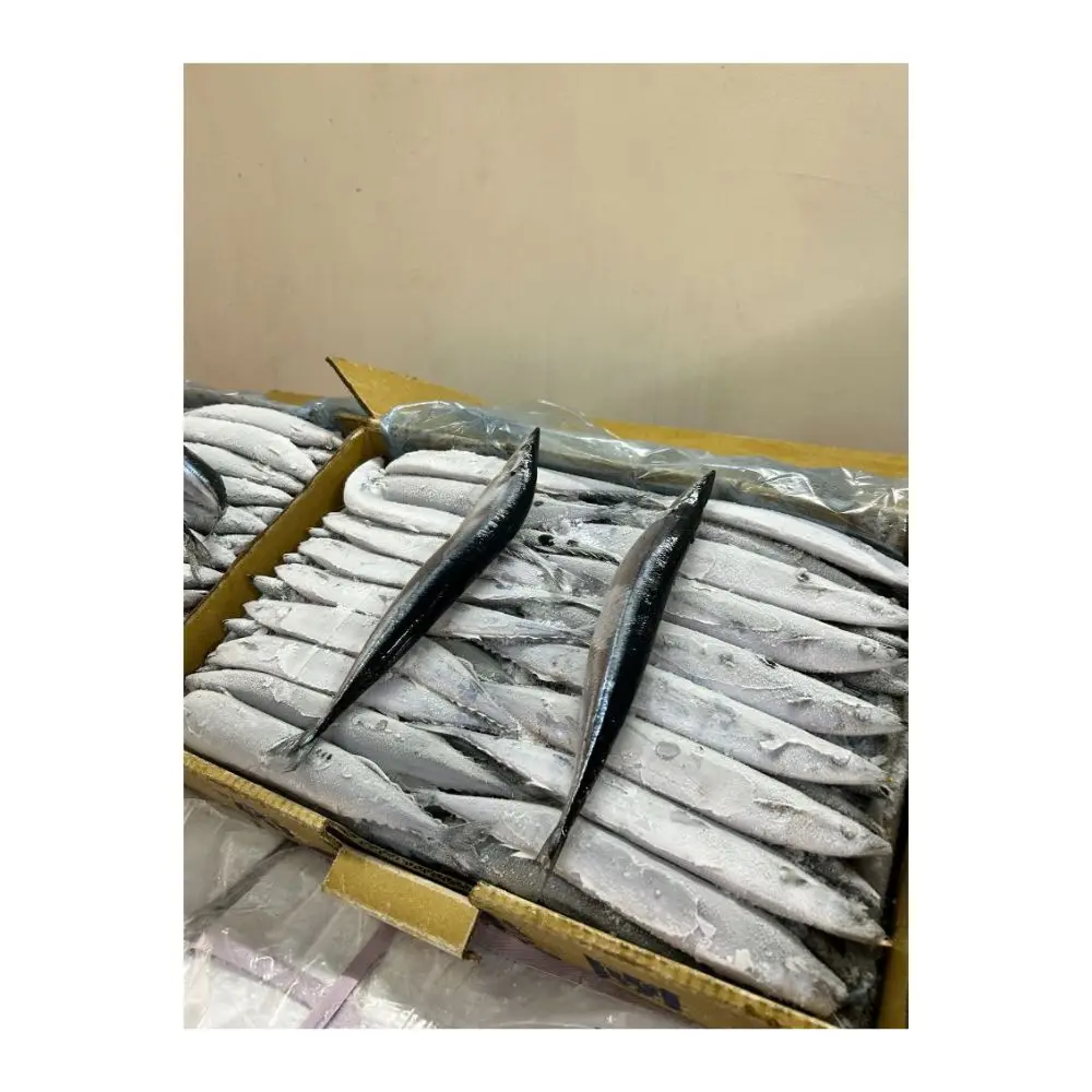 Blue Mackerel Fish