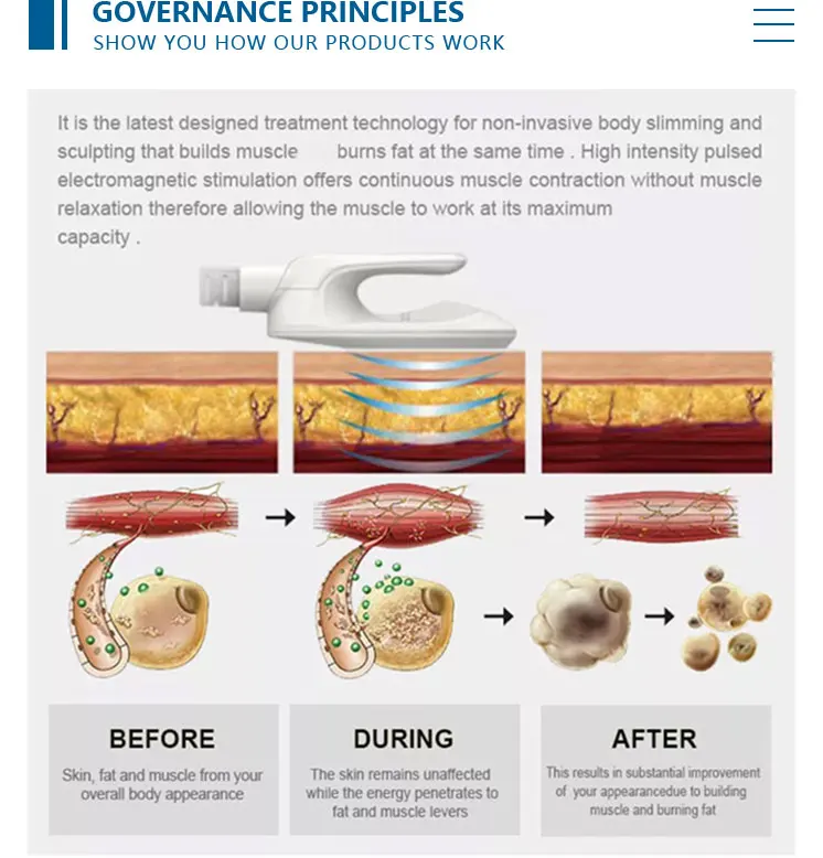 2023 Factory Direct HI EMS ZERO Machine 4 Handles Electrical Muscle Stimulation Fat Burning Body Shaping Sculpting machine