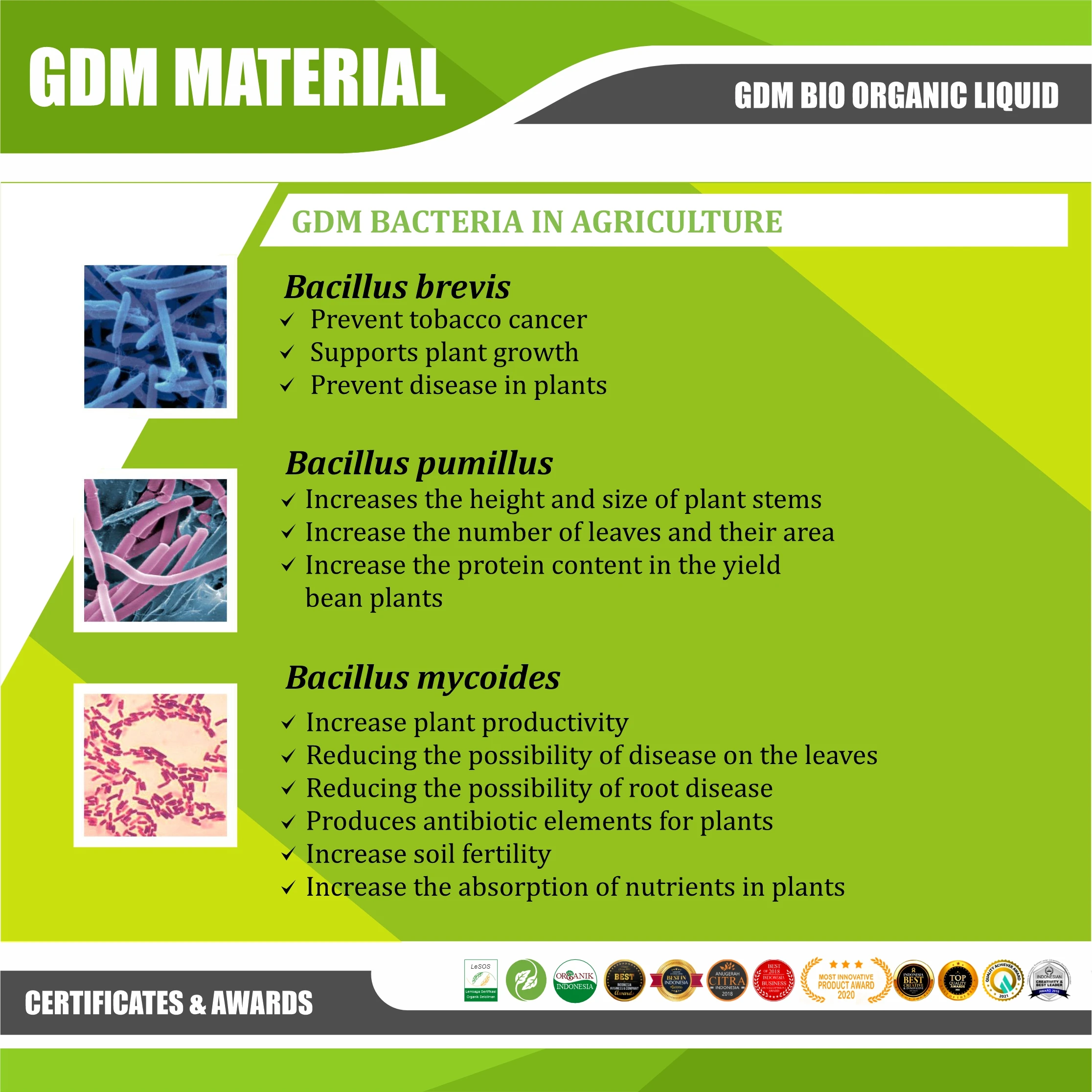 GDM Bio Organic Fertilizer for Golf Courses 5lt l The best organic fertilizer for golf courses - With GDM Anyone Can Harvest