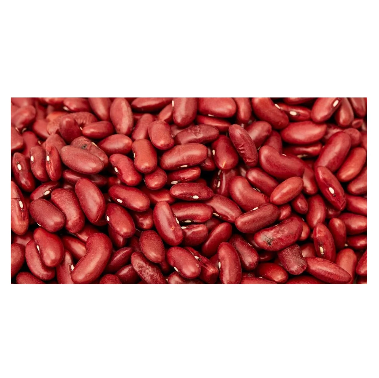 Dark Red Kidney Beans Long Shape Kidney Beans