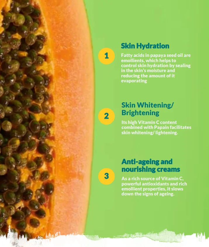 PSO application alibaba.PNG