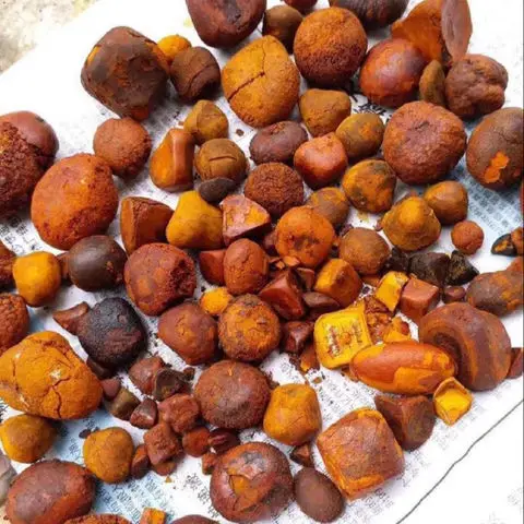 Cow Ox Gallstone for sale