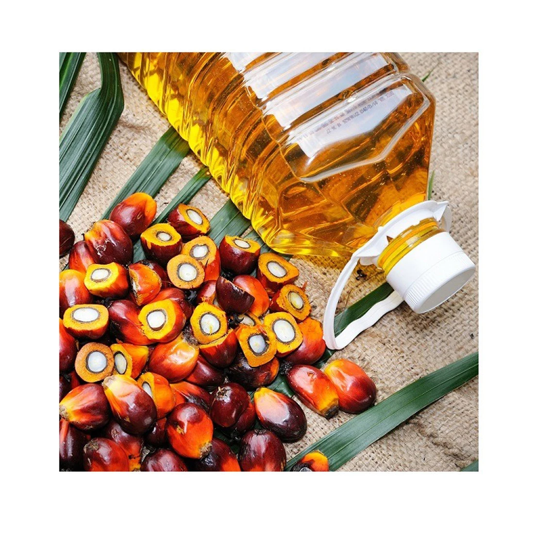 High Grade Wholesale Cooking Price Refined Palm Oil For Cooking Palm Oil High Quality Refined Cooking Palm Oil Price