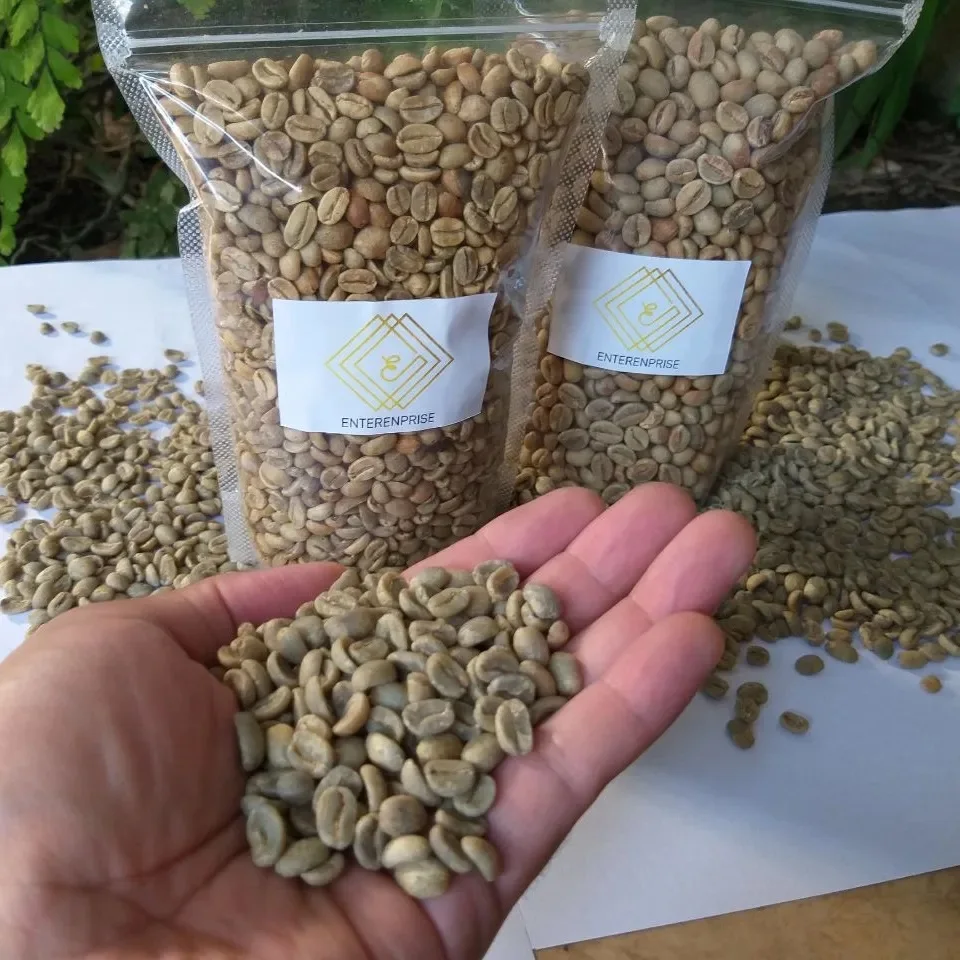 Green Bulk Arabica Coffee Beans / Brazilian Coffee Beans For Sale / Ethiopian Arabica Coffee Beans