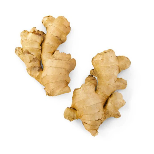 Wholesales 100% Organic Fresh Ginger The Cheapest Price Ginger Fresh Made in Vietnam Ready To Ship