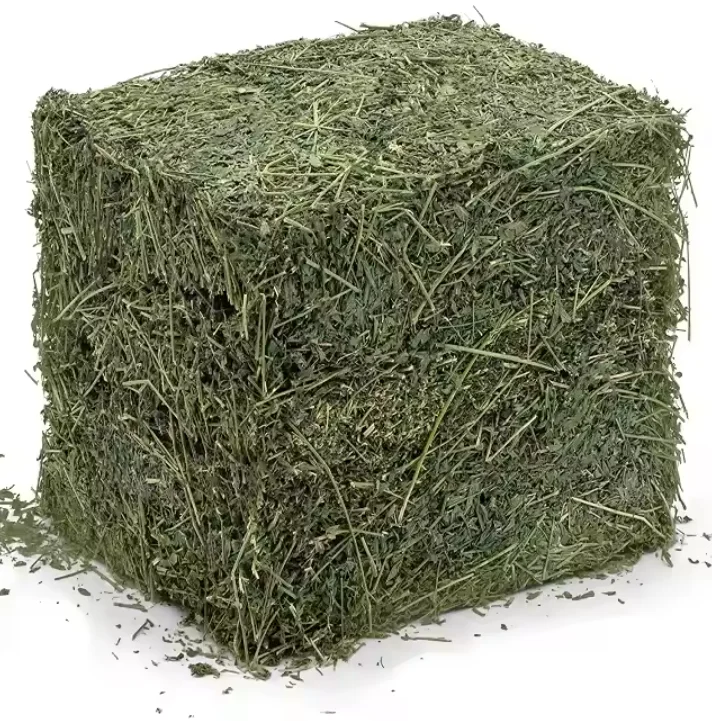 Hot Selling Timothy Hay For Animal Feed Wholesales Ready for Export