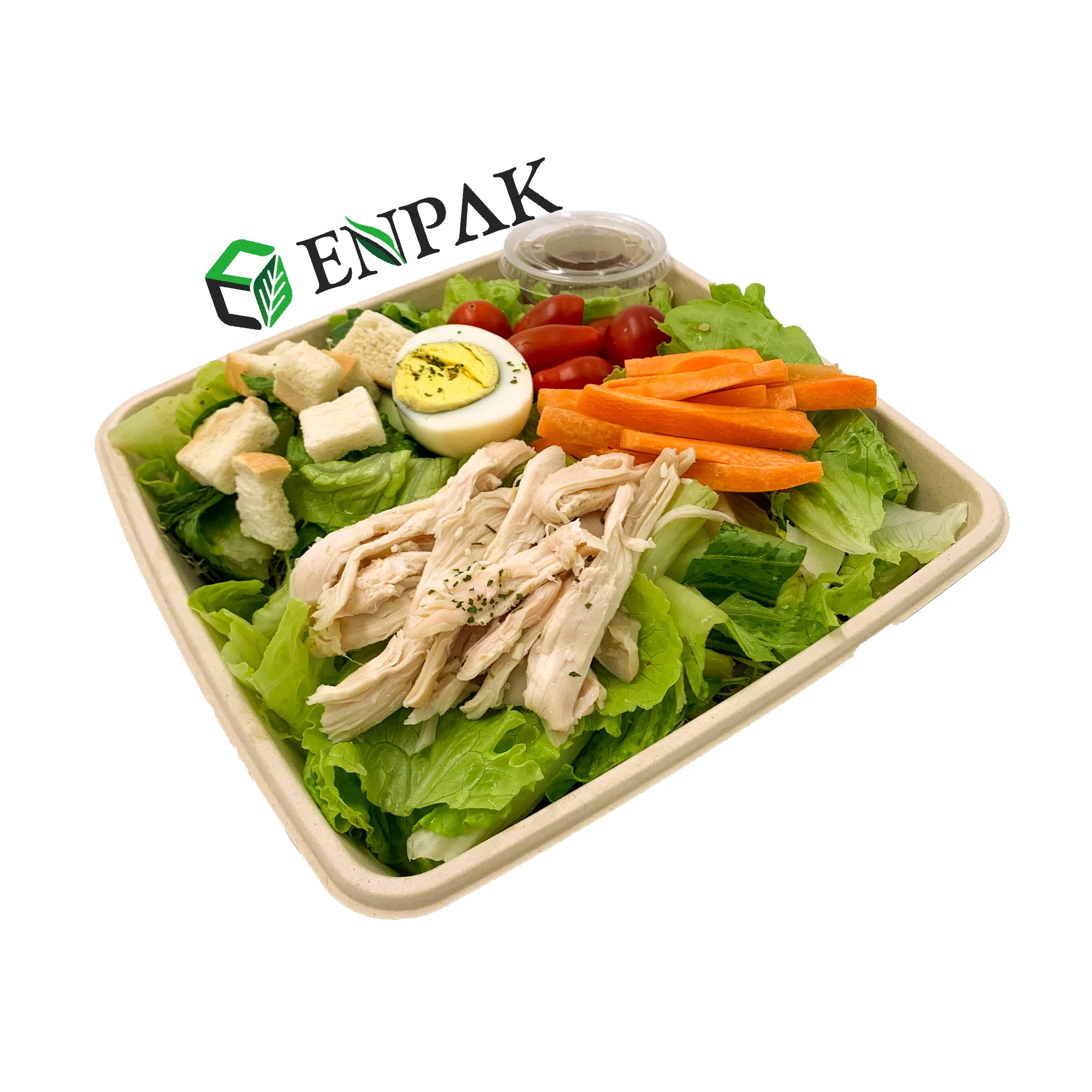 Biodegradable sugarcane bagasse tray for food for catering
