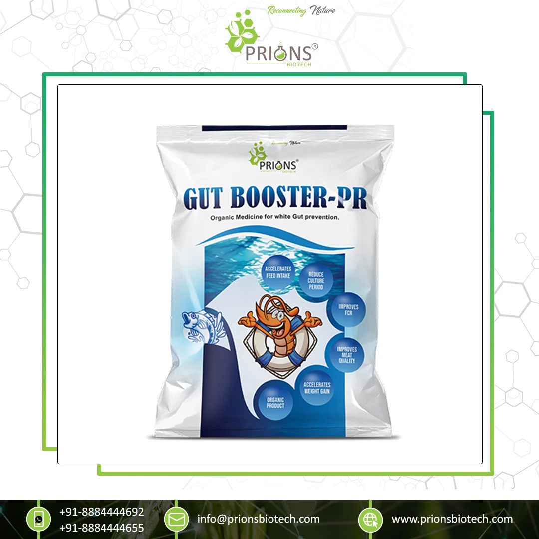 Globally Selling Top Feed Additives Aquaculture Probiotics Immunity Booster Rapid Growth Promoter Gut Booster-PR for Sale