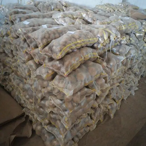 Fresh potatoes from Egypt