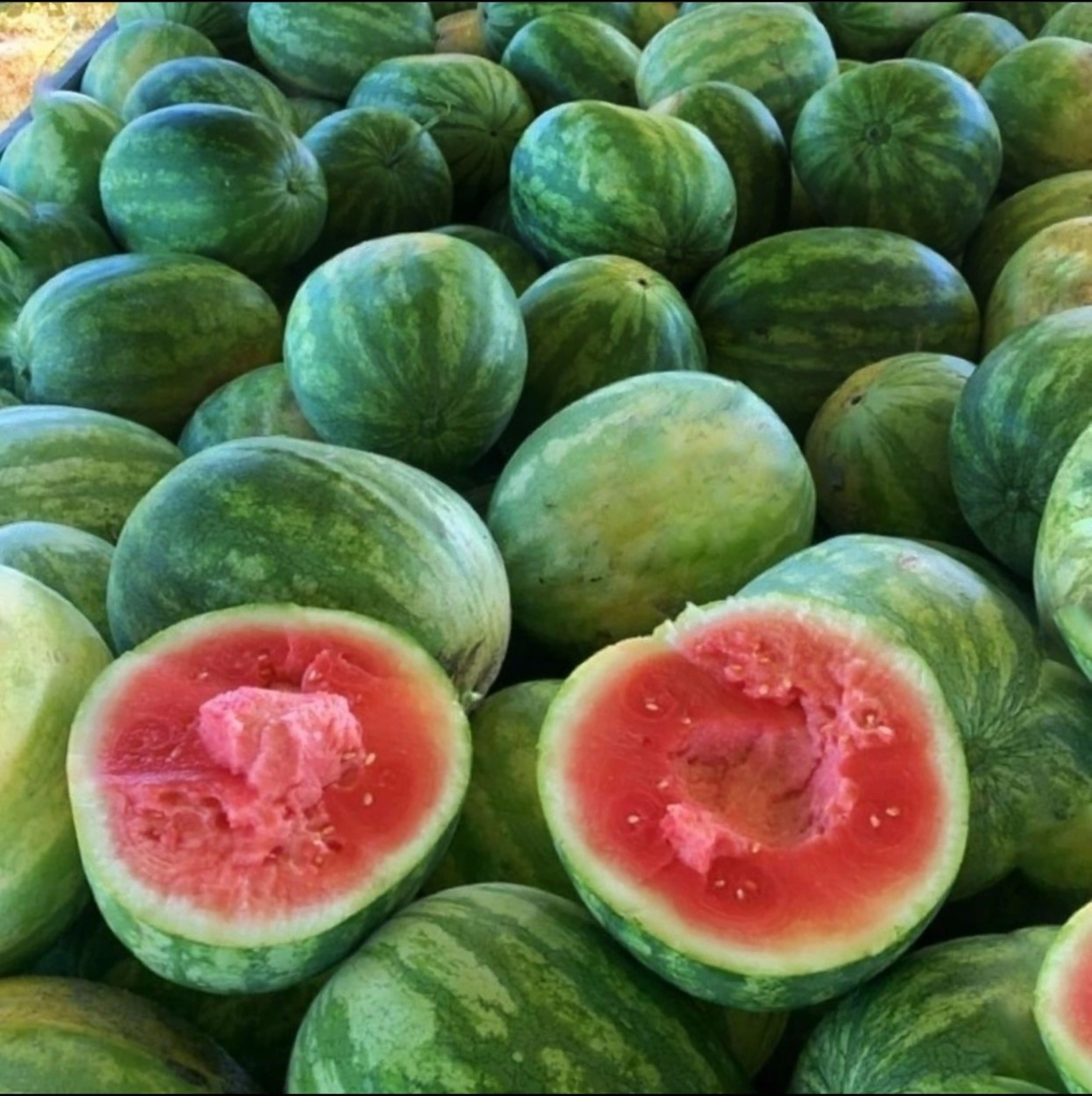 Свежие сладкие арбузы для продажи по доступной цене