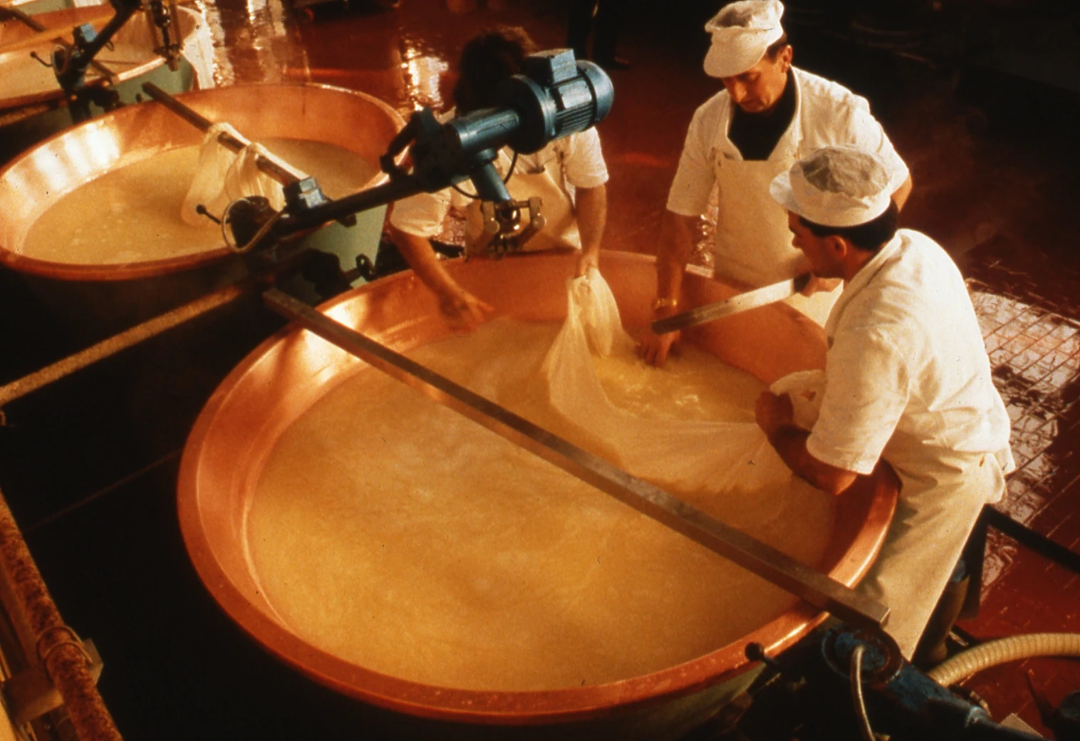 Top quality made in Italy slow maturation 1 Kg. grated Parmigiano Reggiano hard italian cheese