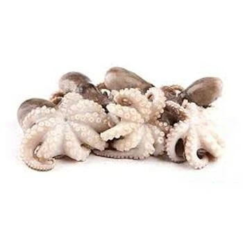 Hot Sale Frozen Whole Big Size Octopus Poulp Squid Long Arm Octopus
