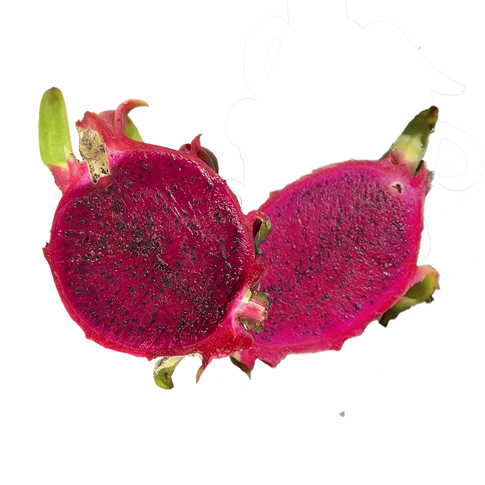 High Quality Tropical Fresh Red Dragon Fruit Gift Sweet Bulk Sales Carton Box Wooden Packaging Made In Vietnam Manufacturer