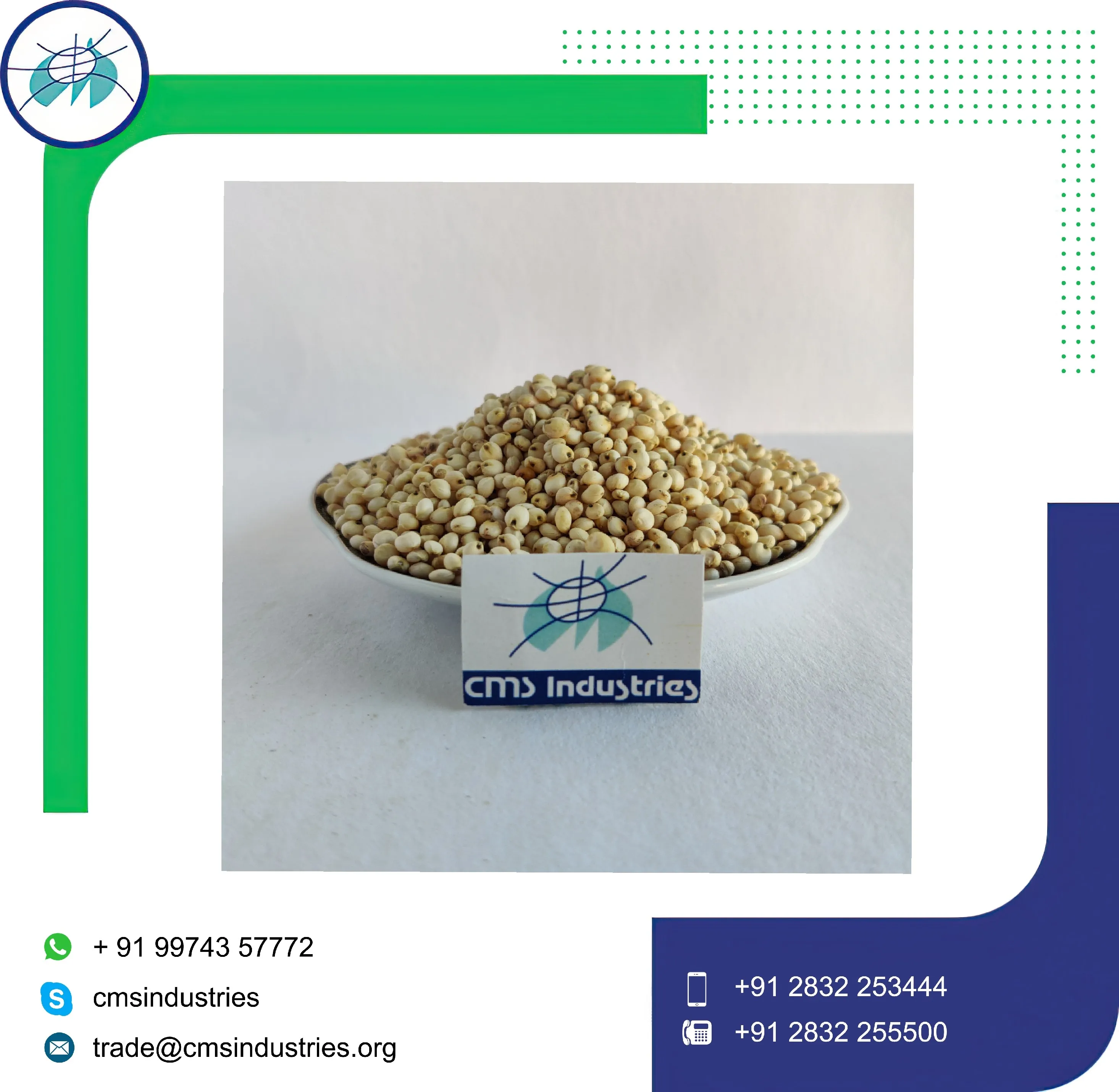 Indian Product Exclusive Quality Sorghum for Bird