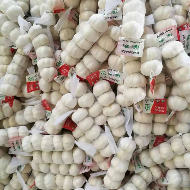 Chinese Roasted Ajo Garlic Kilo In Mesh Sleeve For Supermarket