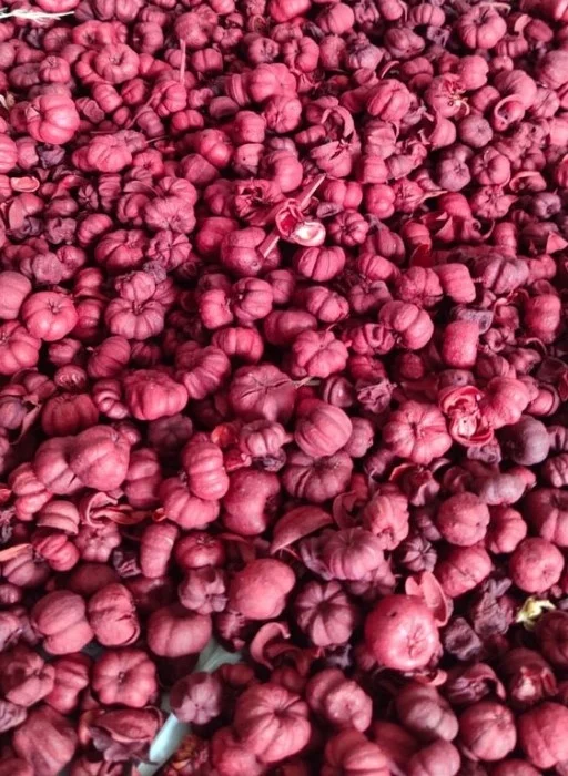 Putka pods Mini pumpkin potpourri natural  Dry  Decoration Party Wedding  Decorative Pcs Color Plants Material Original