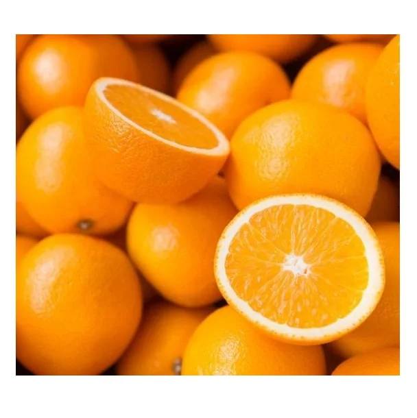 Wholesale Cheap Price Best Quality Fresh Valencia Oranges Fresh Fruits For Sale Worldwide Exports