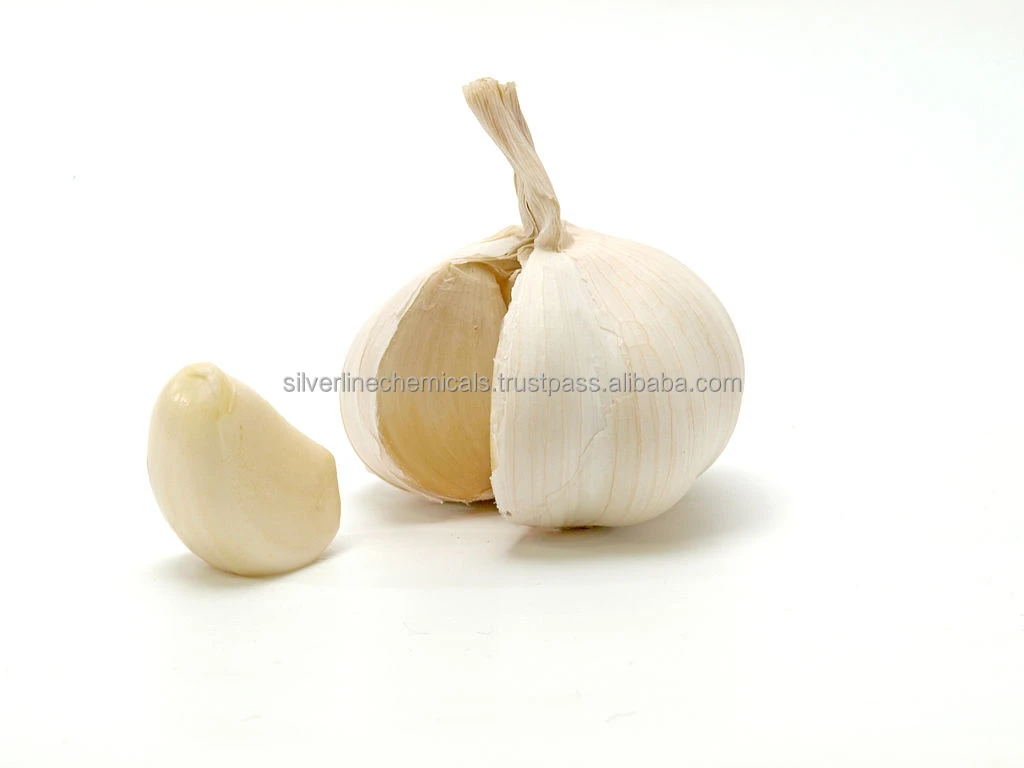 Wholesale Best Quality Essential Oil Garlic Oil Manufacturer