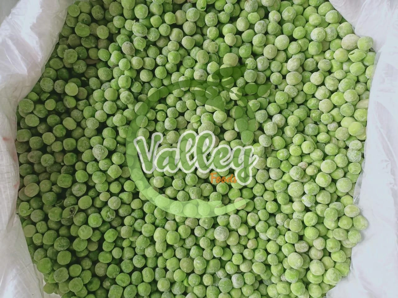 Замороженный зеленый горох IQF-Лучшая цена из египта оптом-высокое качество