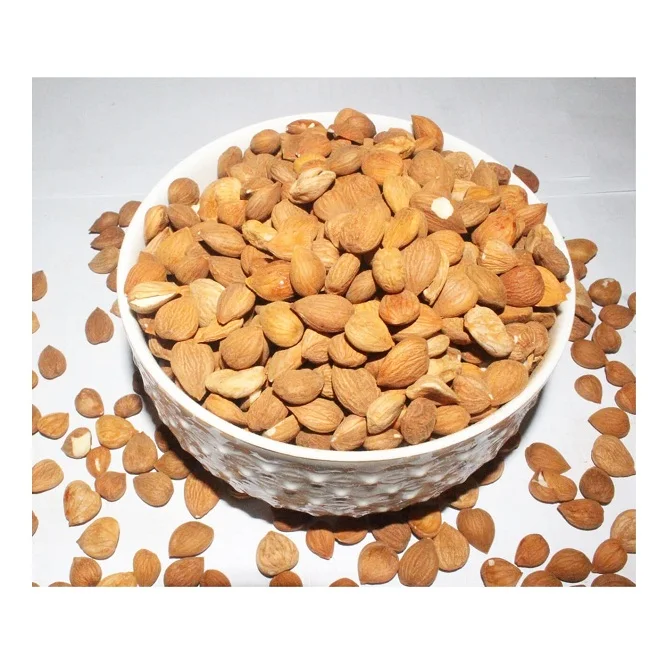 100% чистые натуральные качественные сырые органические абрикосовые орехи по лучшей оптовой цене