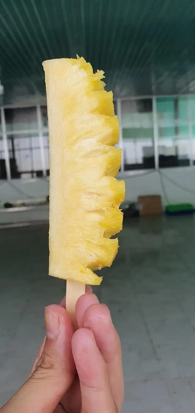 Замороженные КУСОЧКИ АНАНАСА желтые по лучшей цене