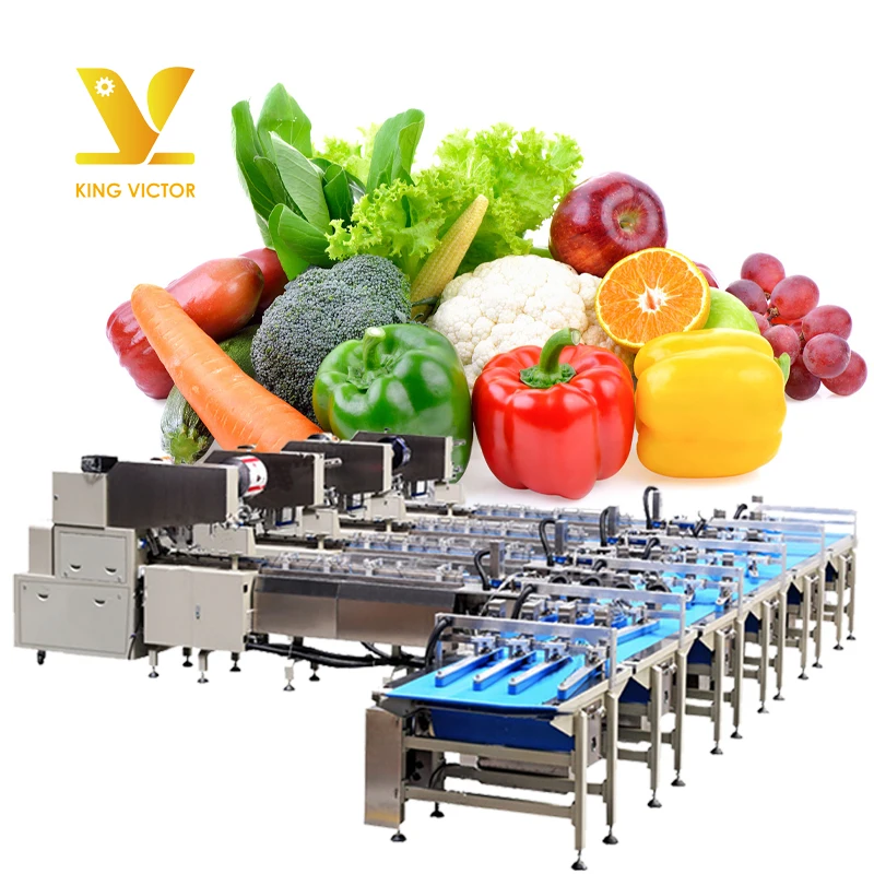 automatic professional designed vegetable and fruit packaging line machine