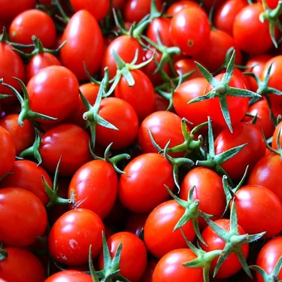 Fresh Beef Tomato, Cherry Tomato, Fresh Plum Tomatoes for Sale Hot selling Fresh Quality Tomato for Export Market