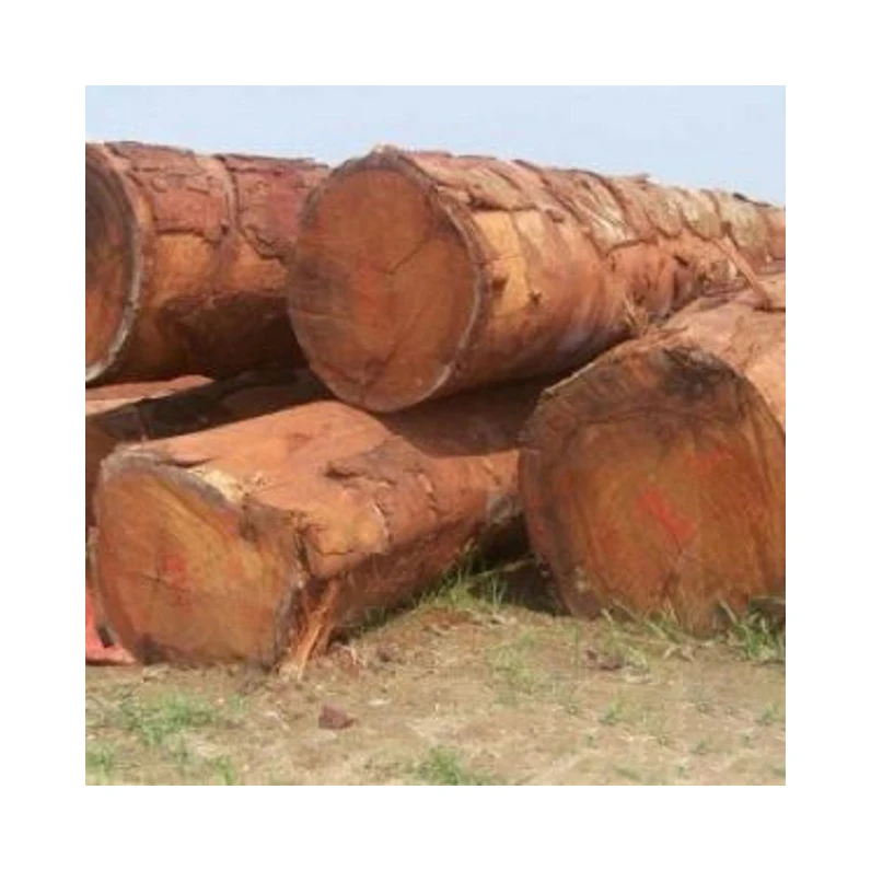 Timber Wood Logs / Sandal Wood / Ash Wood ebony beech wood timber sawn timber birch wood log teak round logs wood logs sandalBee
