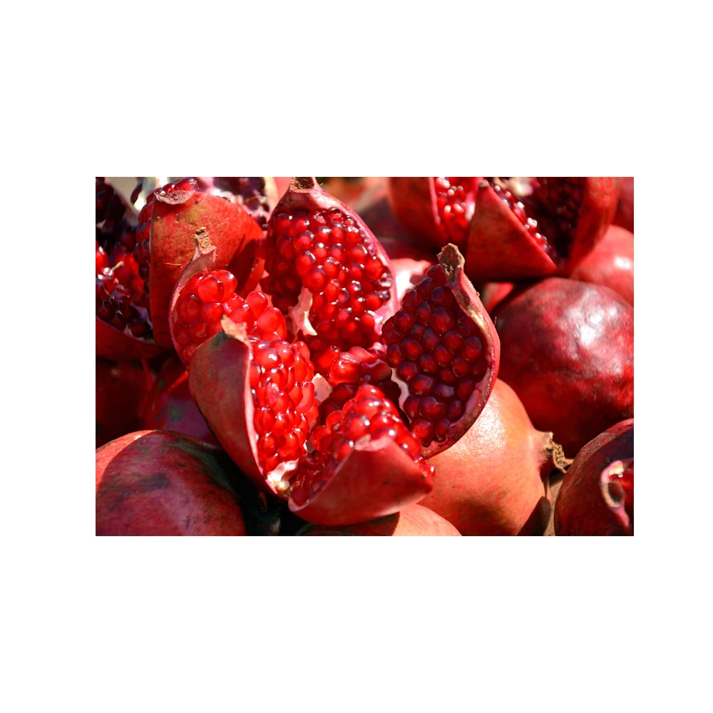 Indian Bulk Supplier  Fresh Pomegranate Fruits At Wholesale Price