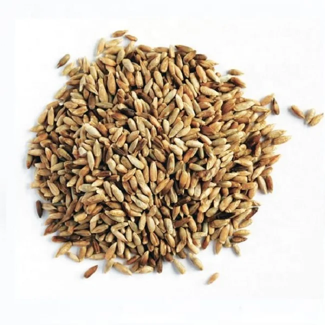 rye flakes bran high grade,Winter Rye for sale widely selling organic natural rye grain available for sale