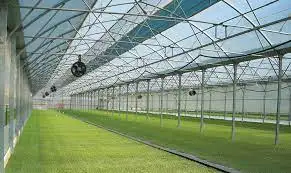 New Style Smart Aquaponics Greenhouse Complete Growing Systems For Multi-span Greenhouse