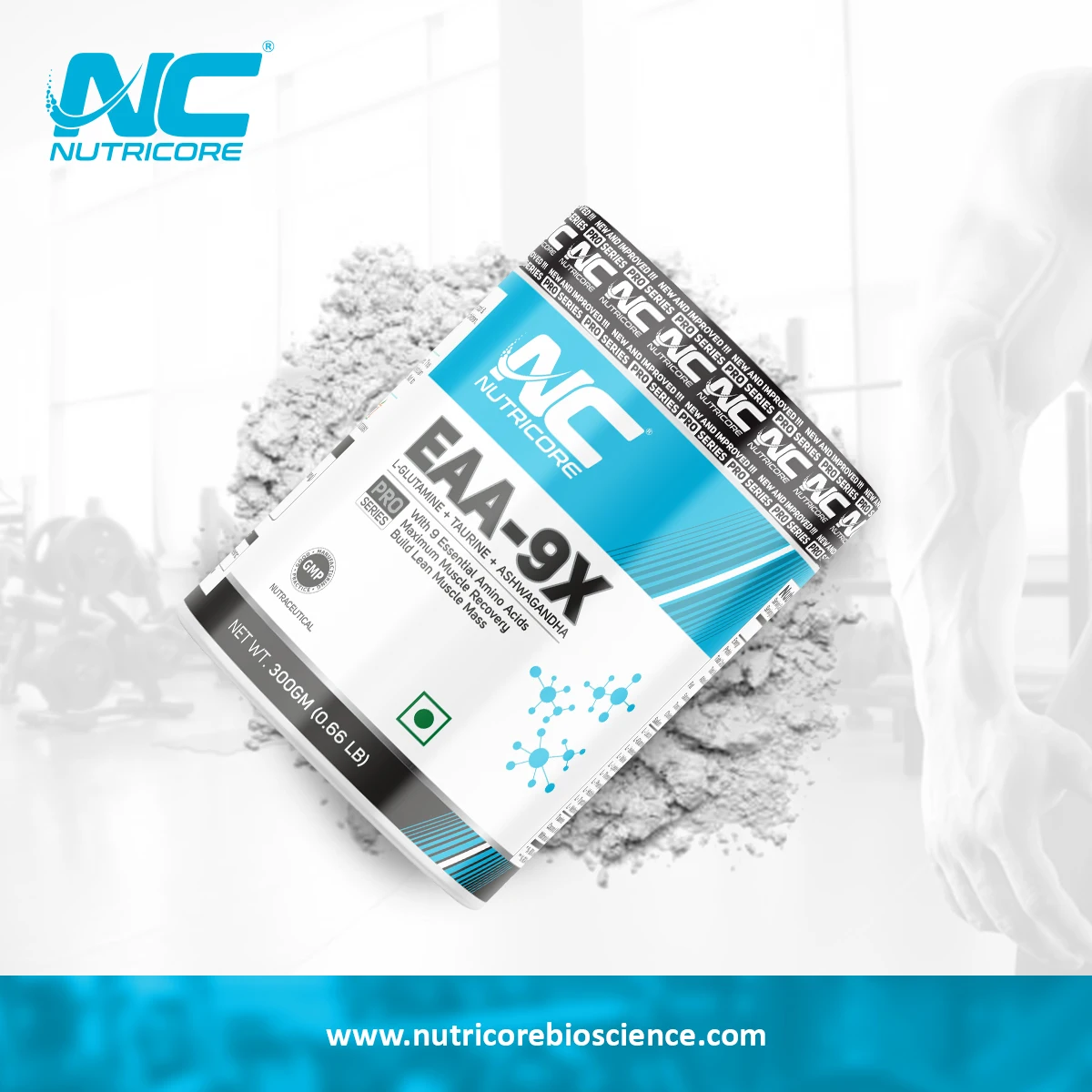 Wholesale Gym Supplement EAA 9X - Flavored EAA Powder 300 Gm Pack