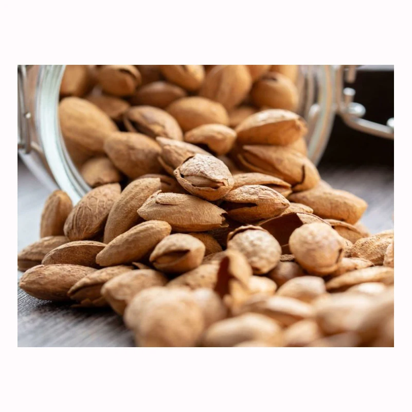 Almond Nuts Snacks Dried Fruit Original Shelled Almond Nuts
