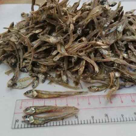 Good Taste Dried Fish Dried Small Anchovy - Natural Sun-dried Fish with good price in bulk quantity Ms Sophie