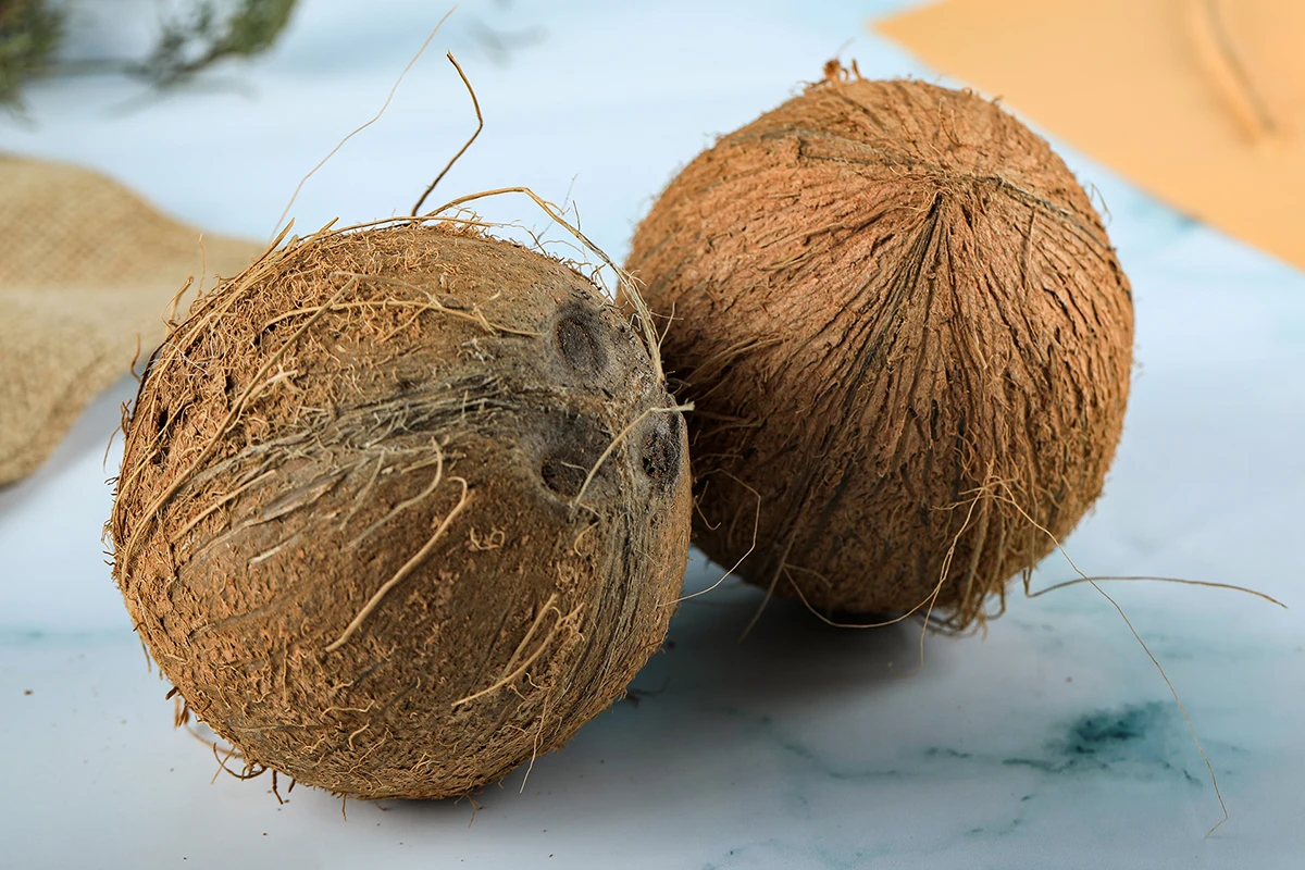 Semi Husked Coconut for Thailand Market - Semi Husked High Quality Coconut - Good Product Good Food Ingredient