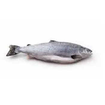 download (1) (1).jpg