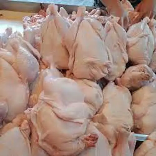 Best Quality Halal Whole Frozen Chicken Ready for Export