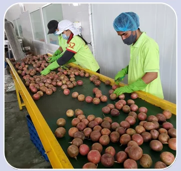 Vietnam passion fruit puree HACCP ISO puree Frozen Passion Fruit Puree Lifefoods
