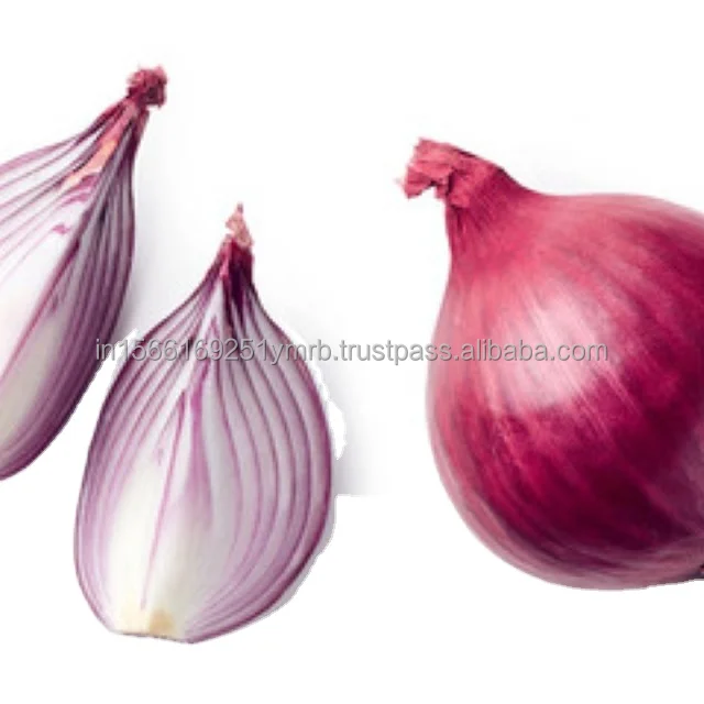 Best Vegetables Natural Color Fresh Shallot Non-Peeled Part Bag Packaging Organic Cultivation