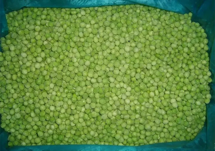 Supplier Export Factory Price IQF Vegetables IQF Frozen Green Chick eas Green Dry Peas IQF Whole Green Peas