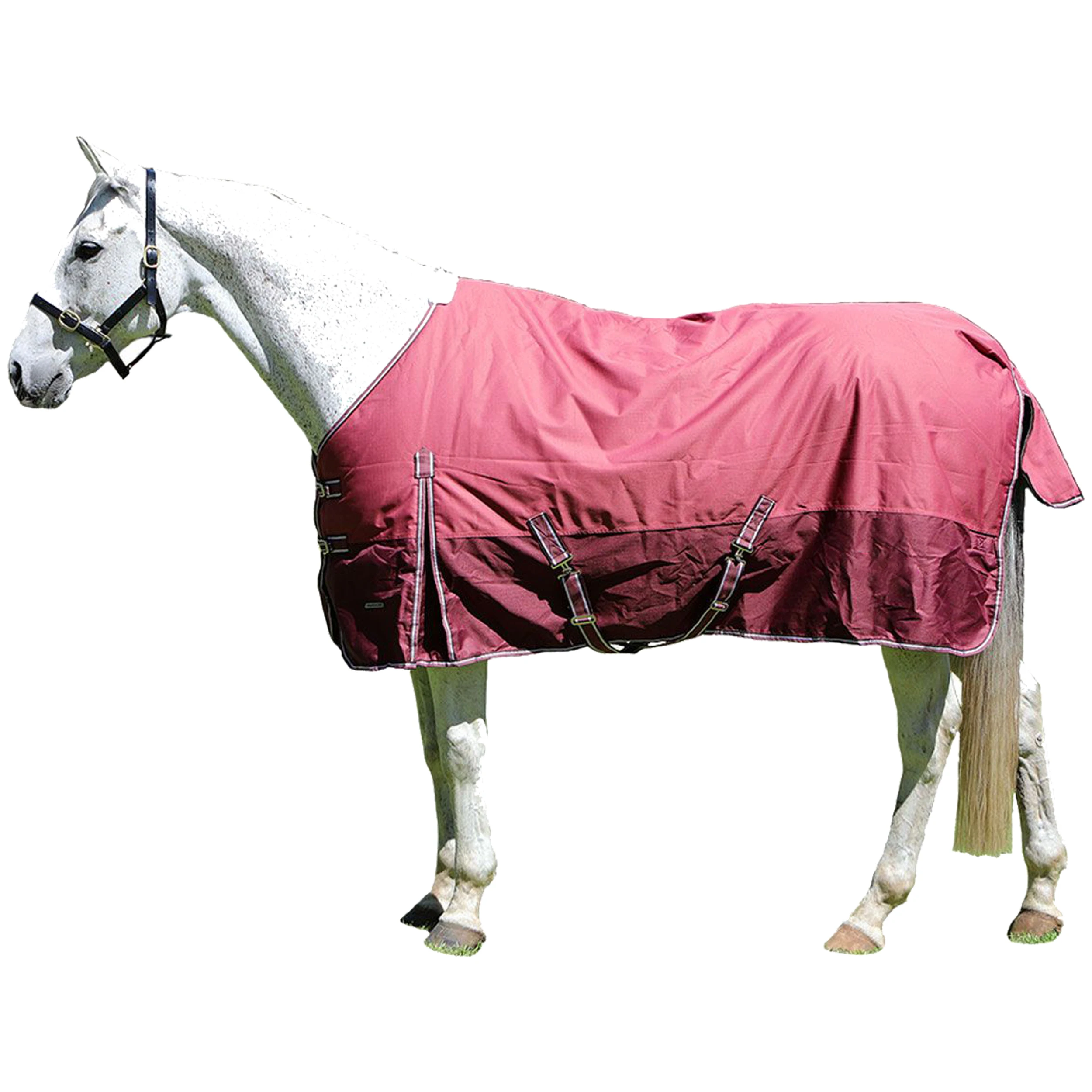 Horse Equipment Cotton Winter Equine Products Breathable Saddle Equestrian Waterproof Horse Rugs Neck Cover Blanket Pink Purple