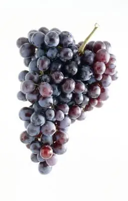 Fresh Grapes at.jpg