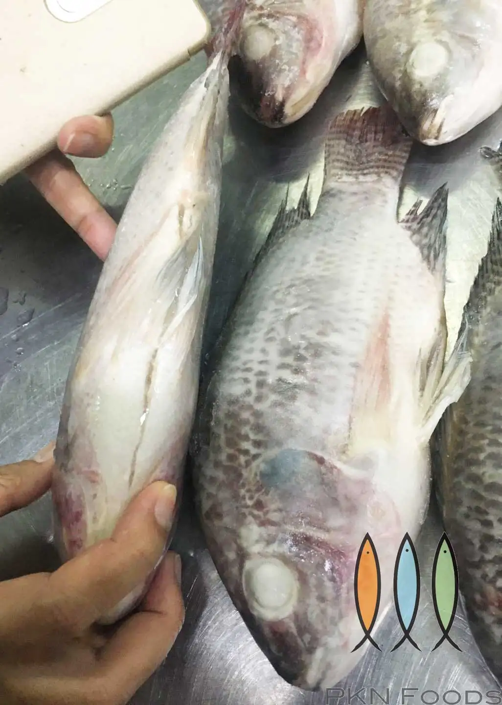 IQF Customize Life Packaging Frozen Type Cutting Supplier Shelf export tilapia fillet Black Tilapia From Viet Nam