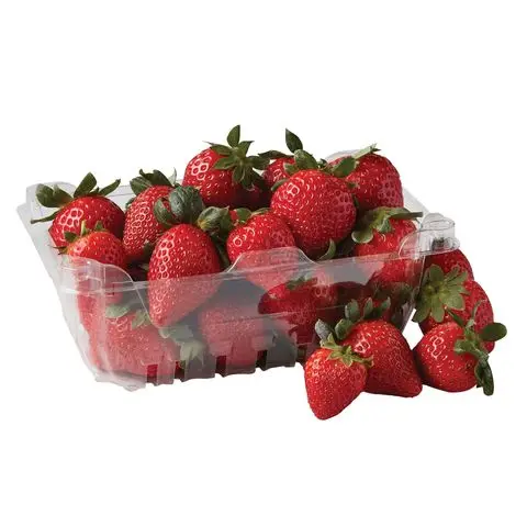 Organic Fresh Strawberry Australian Fresh Strawberries