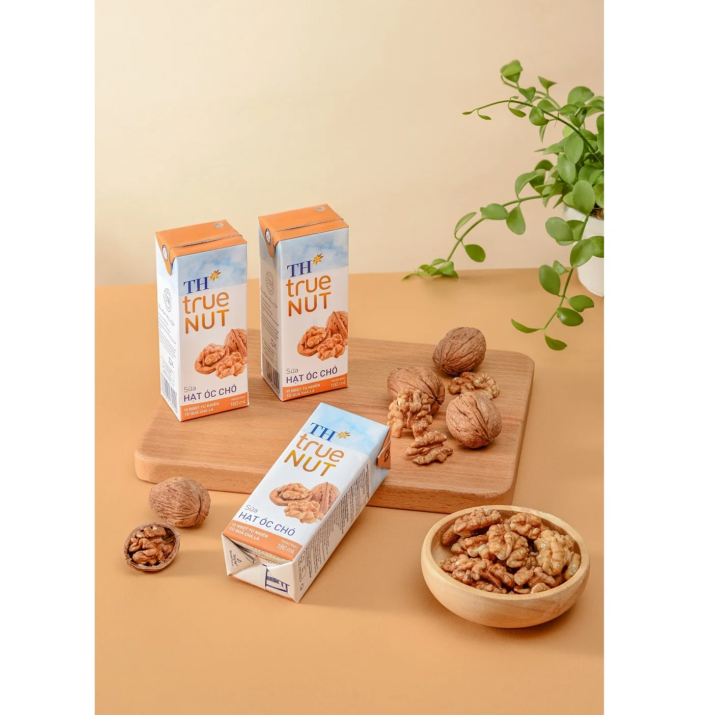 Walnut Milk TH true NUT 180 ml Blended Dairy Products Sterilized Original Flavor Healthy Flavored Milk