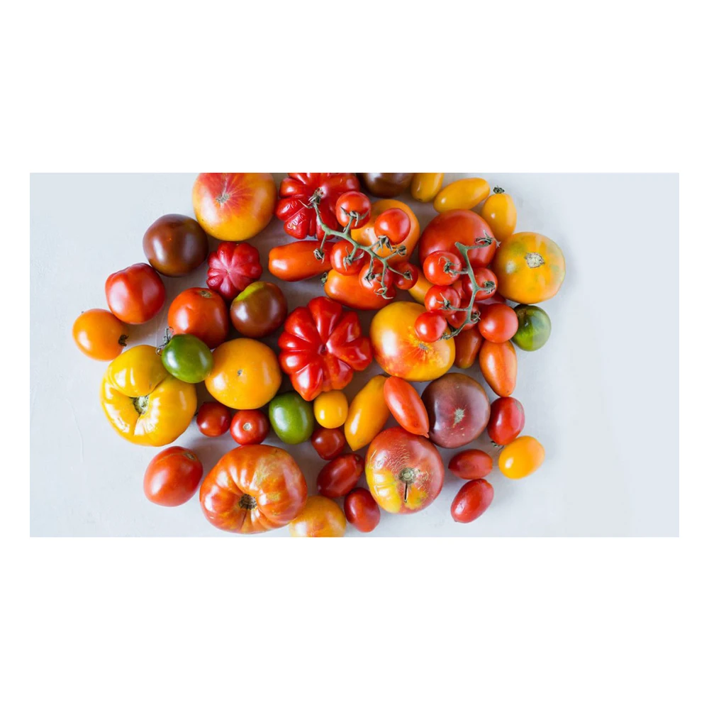 Tomatoes /FRESH TOMATOES /Cheap FRESH TOMATOES Best quality Fresh Tomato at Cheap price best cool name
