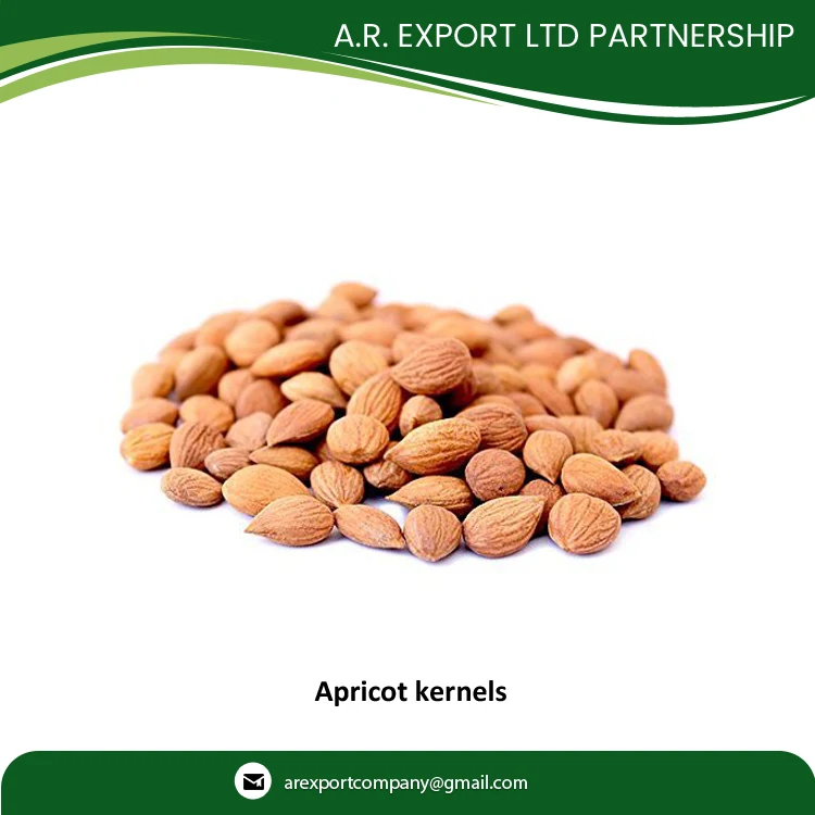 Сертифицированное качество оптовая продажа сушеные ядра абрикоса по лучшей цене доступны в экспортной качественной