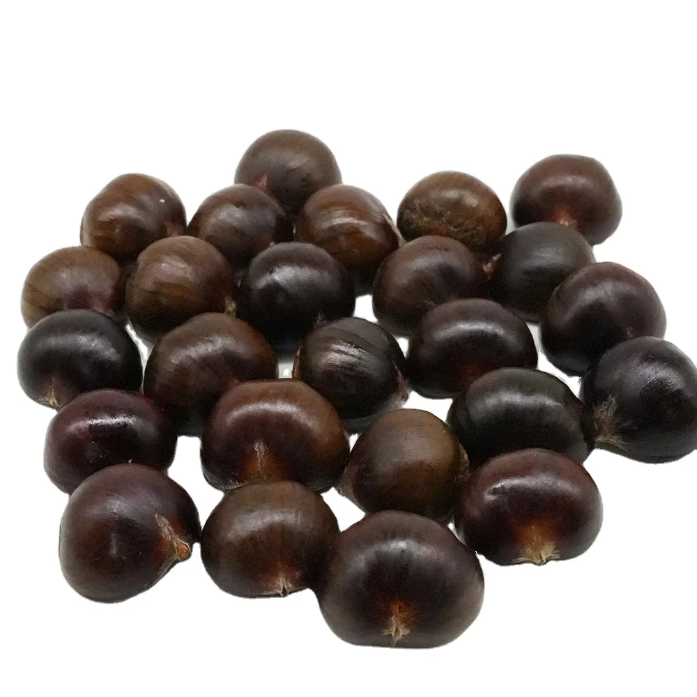 Nutoast Wholesale High Quality Organic Natural Fresh Raw Chestnut