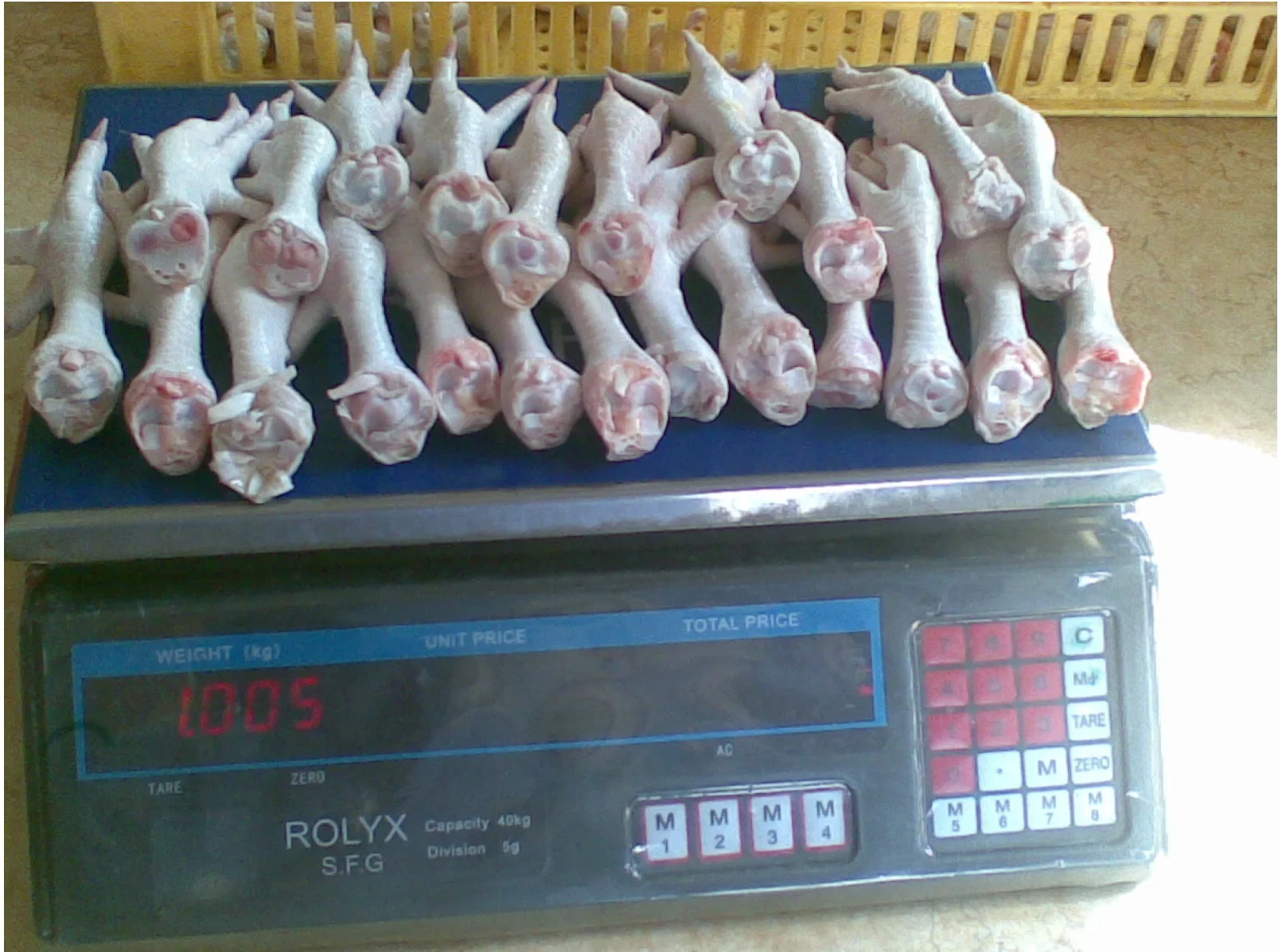 chic feets  kilo.jpg