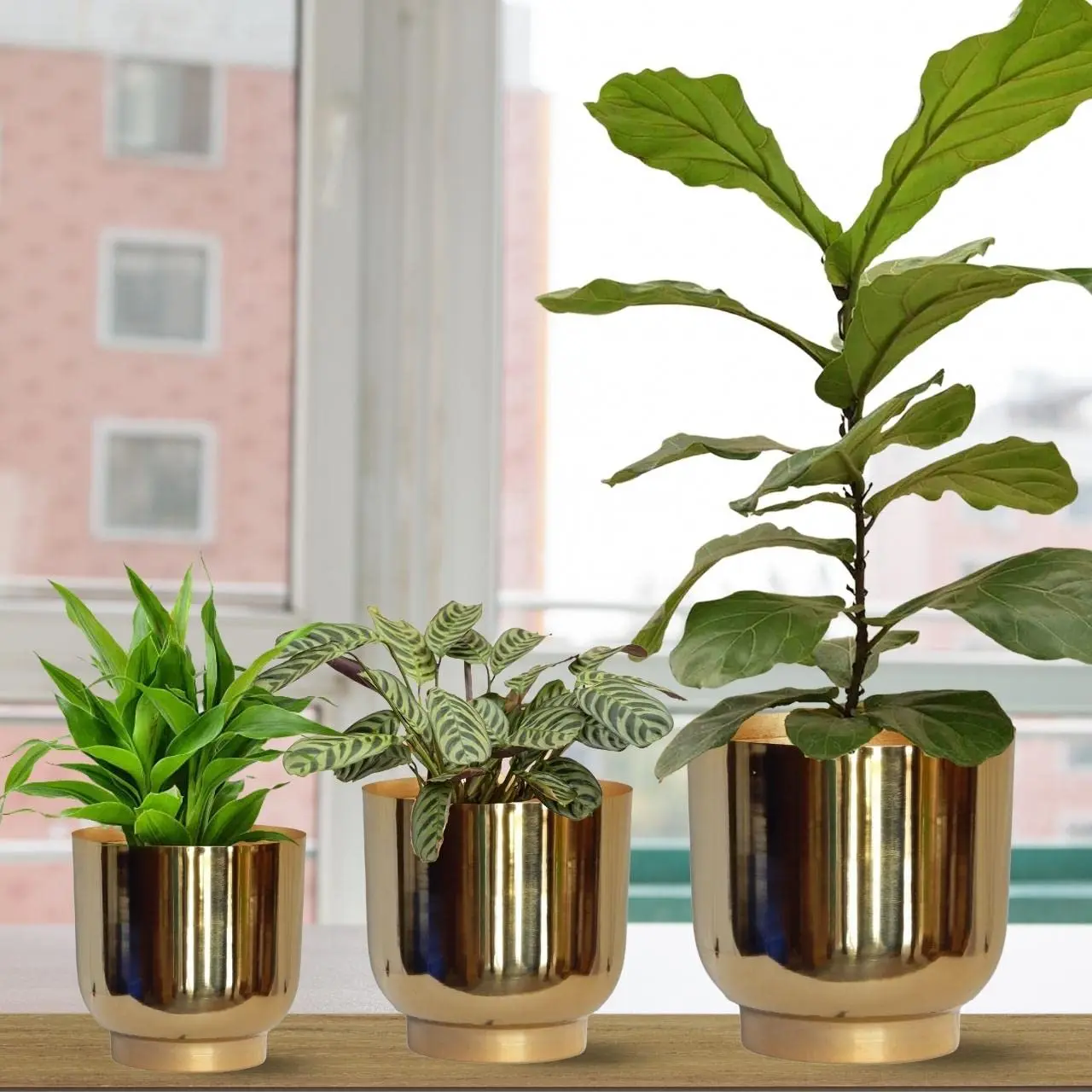 Unique Metal Plant Pots (8 inch 9 inch 10 inch) Indoor Planter Flower Pots with Drainage Hole For Home Garden Living Room Decor